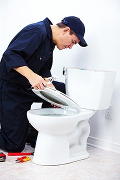 St. Charles Toilet Repair & Replacement Service