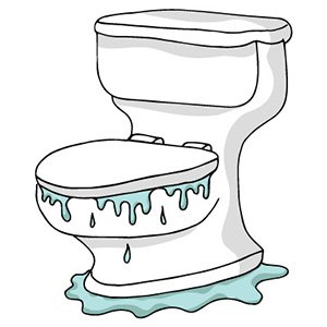 Toilet Repair & Replacement Services in St. Charles & St. Louis